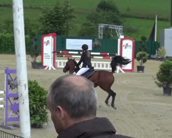 Reitturnier Lindlar-Süttenbach 2016