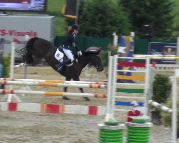 Reitturnier Lindlar-Süttenbach 2016