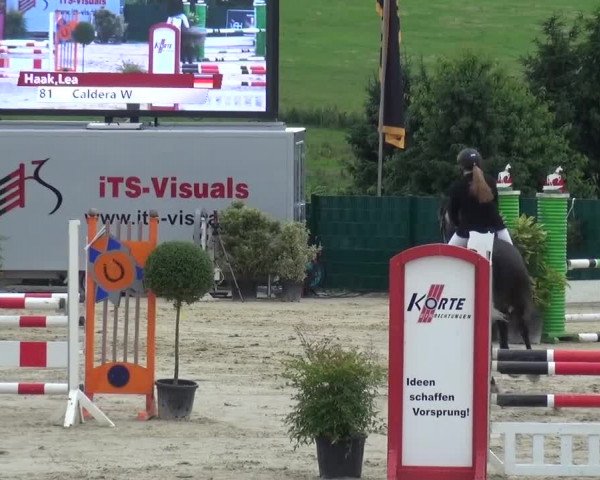 Reitturnier Lindlar-Süttenbach 2016