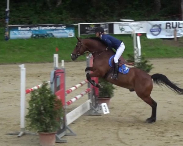 Reitturnier Viersen-Dülken 2016