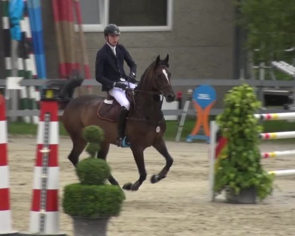 Reitturnier Kalenborn Hegehof 2016