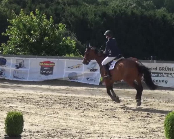 Reitturnier Kalenborn Hegehof 2016