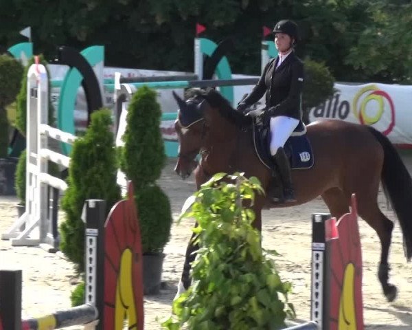 Reitturnier Kalenborn Hegehof 2016