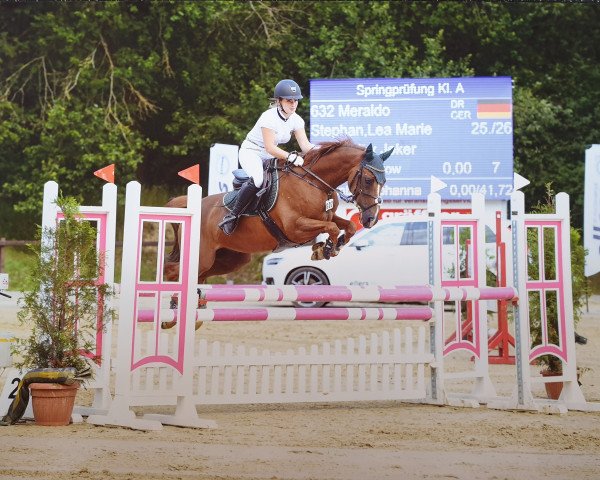 jumper Meraldo (German Riding Pony, 2008, from Mozart II)