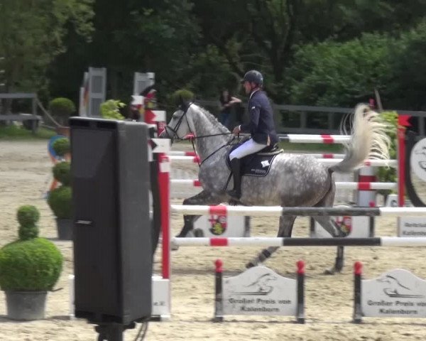 Reitturnier Kalenborn Hegehof 2016