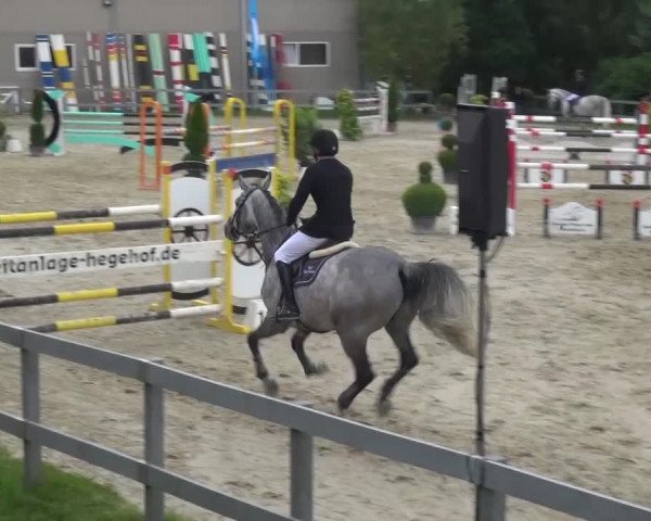 Reitturnier Kalenborn Hegehof 2016