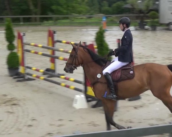 Reitturnier Kalenborn Hegehof 2016