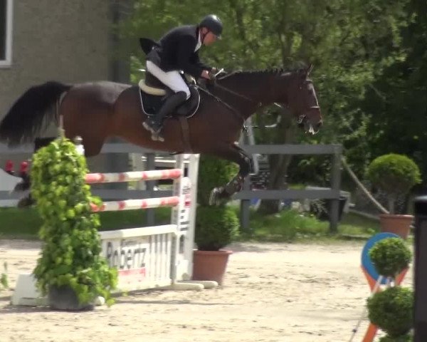 Reitturnier Kalenborn Hegehof 2016