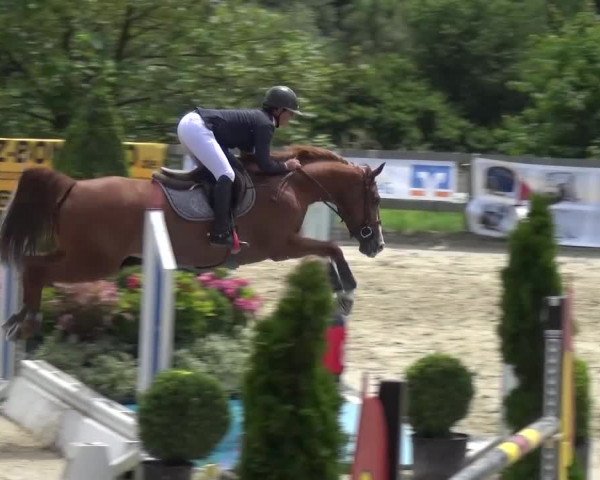 Reitturnier Kalenborn Hegehof 2016