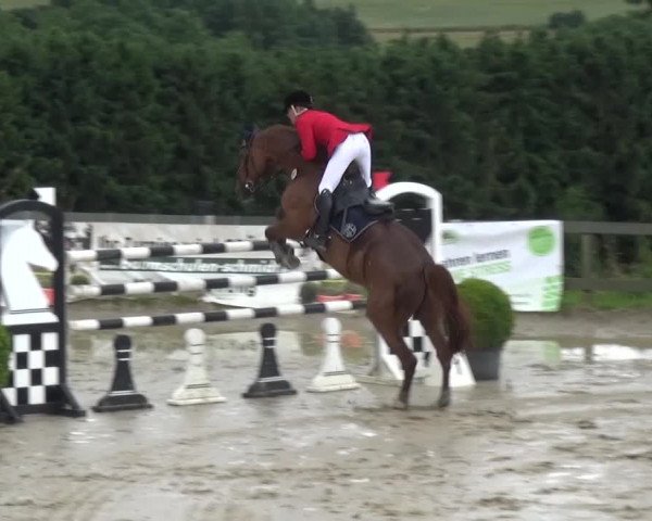 Reitturnier Kalenborn Hegehof 2016