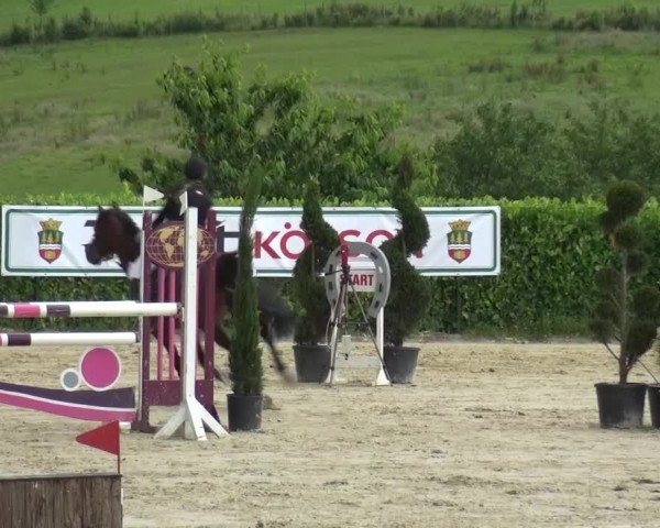 Reitturnier Lindlar-Süttenbach 2016