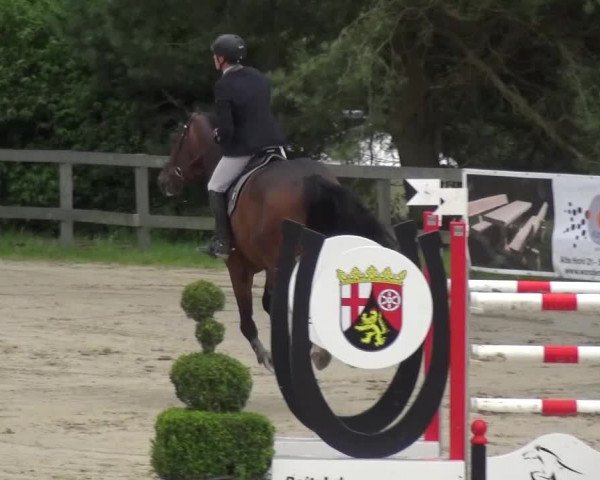 Reitturnier Kalenborn Hegehof 2016