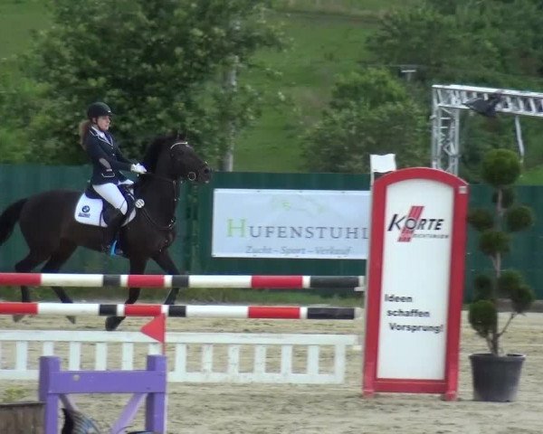 Reitturnier Lindlar-Süttenbach 2016