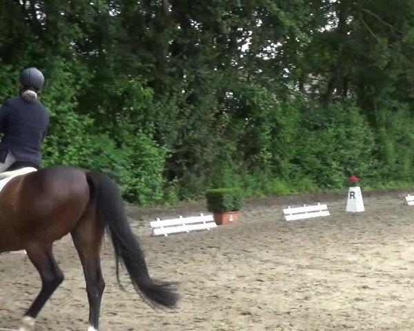 Reitturnier Viersen-Dülken 2016