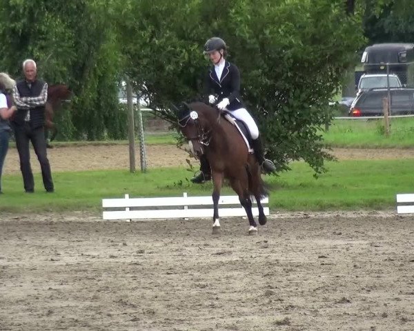 Reitturnier Viersen-Dülken 2016