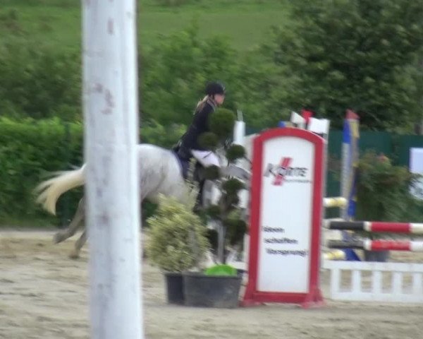 Reitturnier Lindlar-Süttenbach 2016
