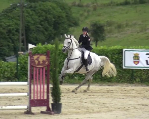 Reitturnier Lindlar-Süttenbach 2016