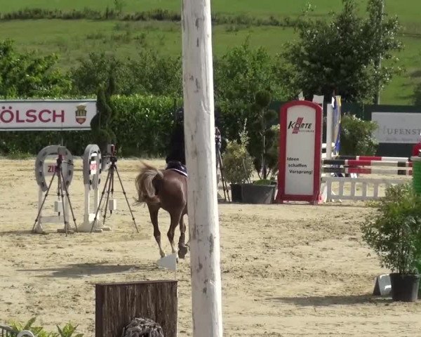 Reitturnier Lindlar-Süttenbach 2016