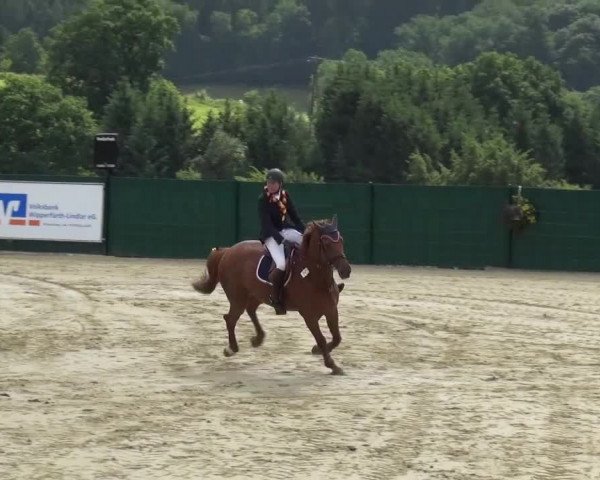 Reitturnier Lindlar-Süttenbach 2016