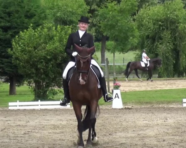 Reitturnier Viersen-Dülken 2016