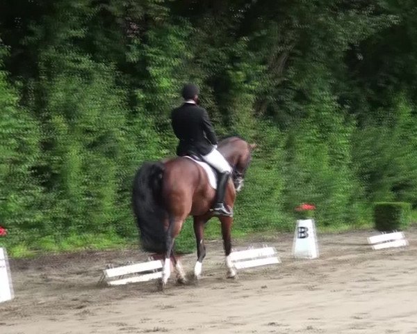 Reitturnier Viersen-Dülken 2016