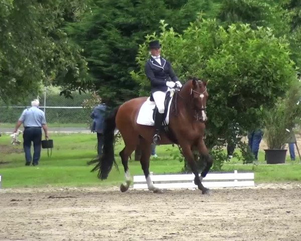 Reitturnier Viersen-Dülken 2016
