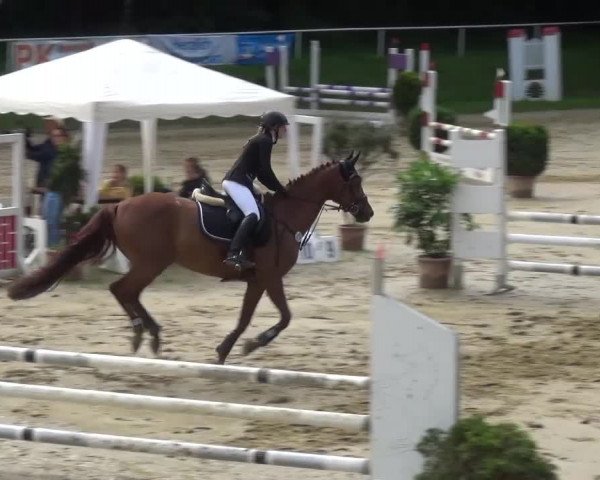 Reitturnier Viersen-Dülken 2016