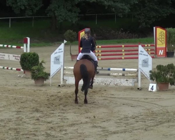 Reitturnier Viersen-Dülken 2016