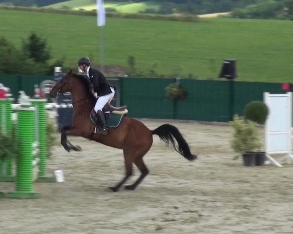 Reitturnier Lindlar-Süttenbach 2016