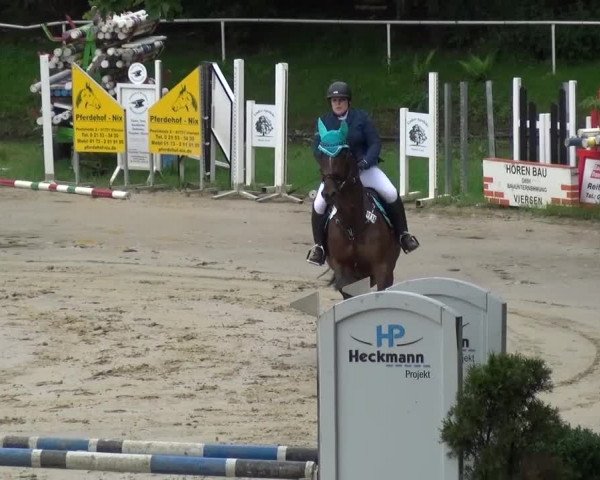 Reitturnier Viersen-Dülken 2016