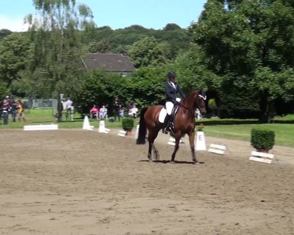 Reitturnier Viersen-Dülken 2016