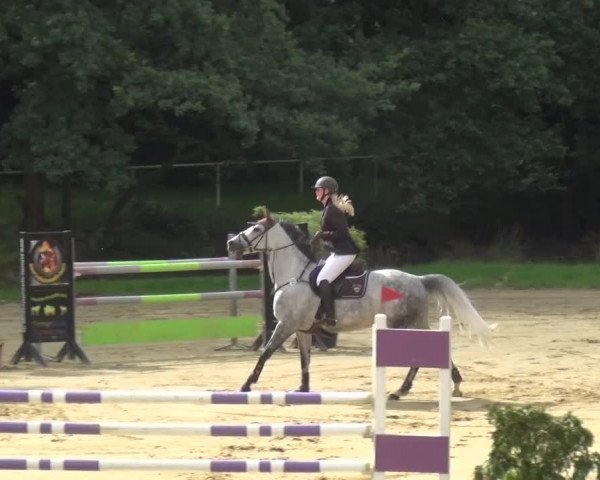 Reitturnier Viersen-Dülken 2016