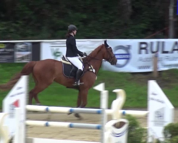 Reitturnier Viersen-Dülken 2016