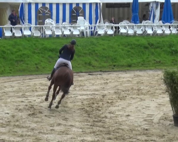 Reitturnier Viersen-Dülken 2016