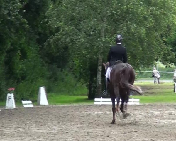 Reitturnier Viersen-Dülken 2016