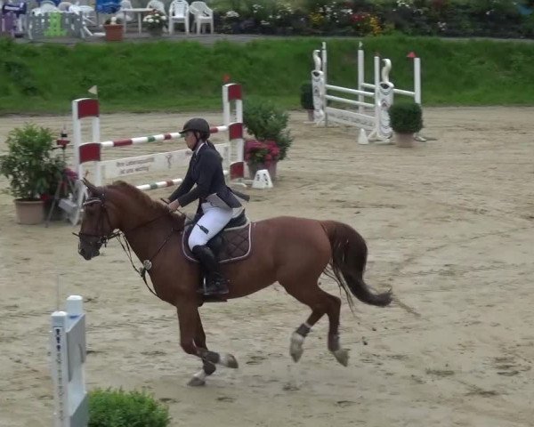 Reitturnier Viersen-Dülken 2016