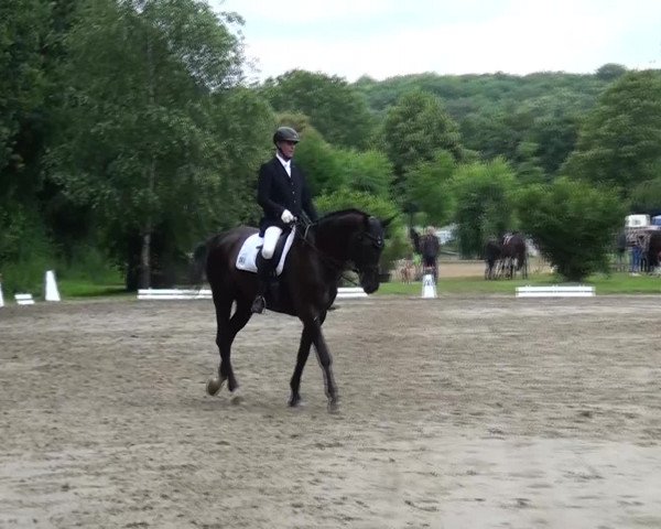 Reitturnier Viersen-Dülken 2016