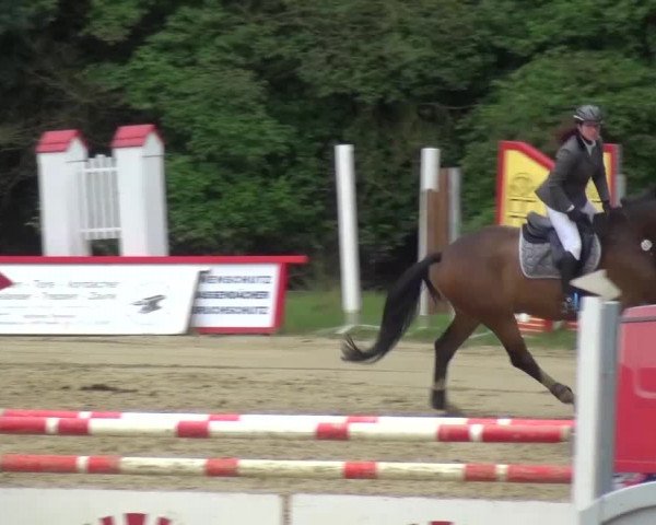 Reitturnier Viersen-Dülken 2016