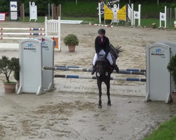Reitturnier Viersen-Dülken 2016