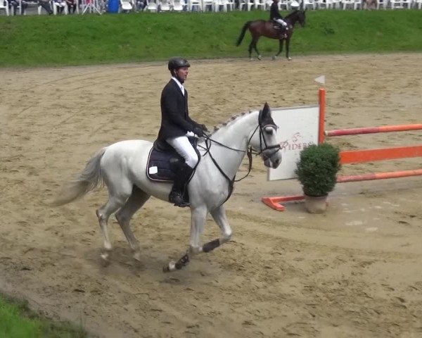 Reitturnier Viersen-Dülken 2016