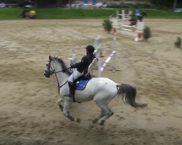 Reitturnier Viersen-Dülken 2016