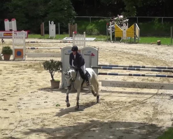 Reitturnier Viersen-Dülken 2016