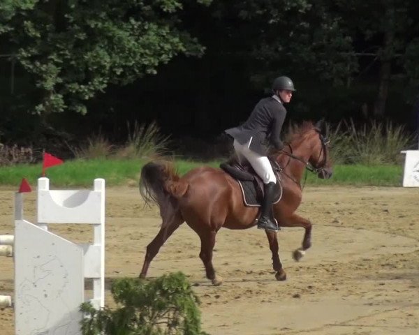 Reitturnier Viersen-Dülken 2016