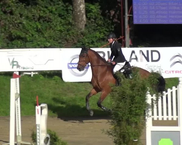 Reitturnier Viersen-Dülken 2016