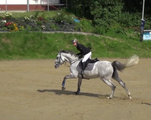 Reitturnier Viersen-Dülken 2016