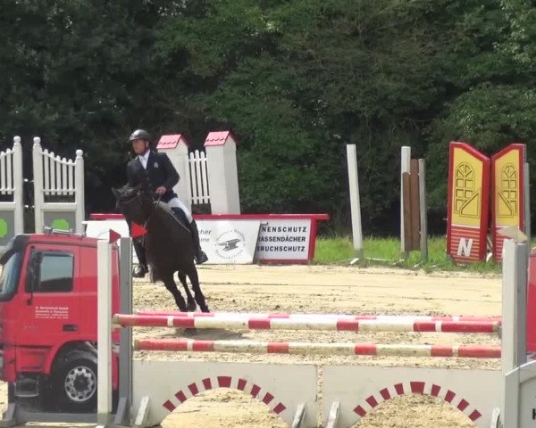 Reitturnier Viersen-Dülken 2016