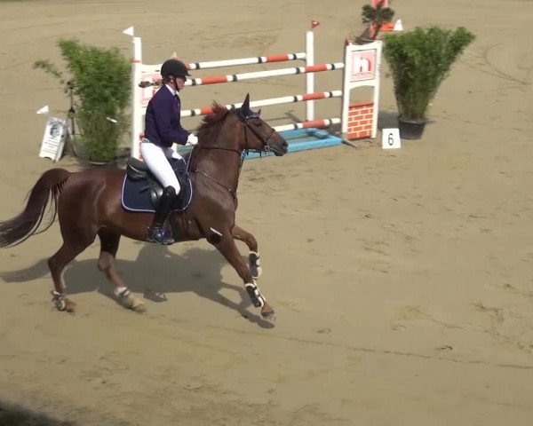 Reitturnier Viersen-Dülken 2016