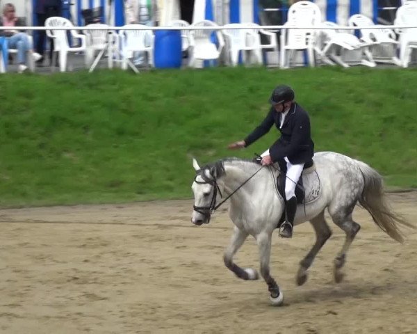 Reitturnier Viersen-Dülken 2016