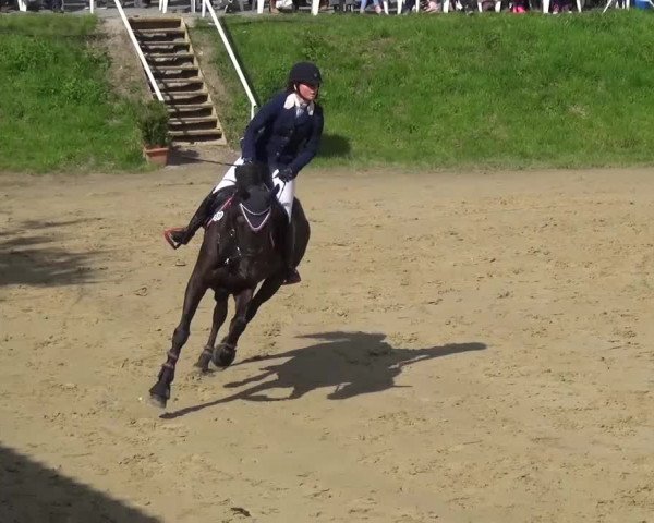 Reitturnier Viersen-Dülken 2016