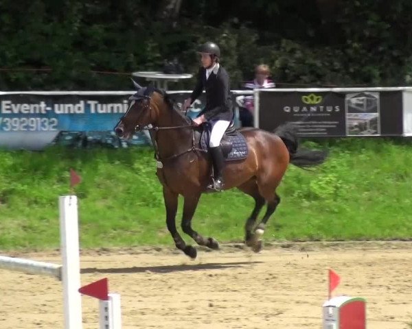Reitturnier Viersen-Dülken 2016